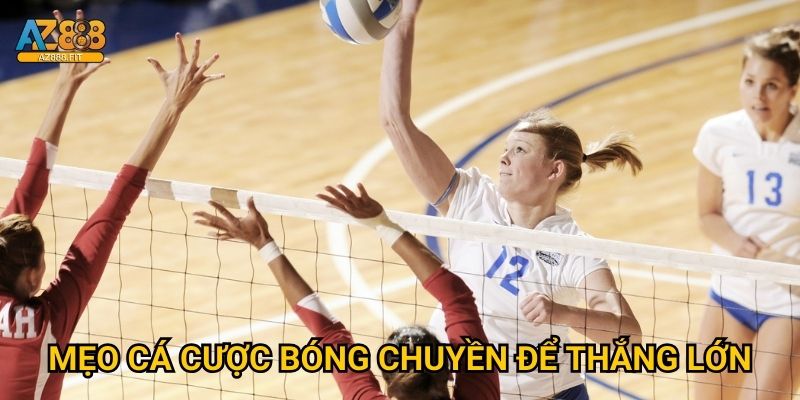 Mẹo cá cược bóng chuyền để thắng lớn