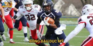 Bóng bầu dục Mỹ Az888 - NFL betting siêu hấp dẫn
