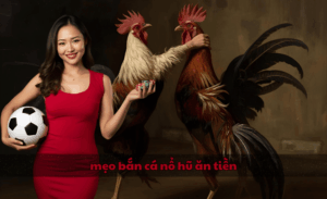 mẹo bắn cá nổ hũ ăn tiền